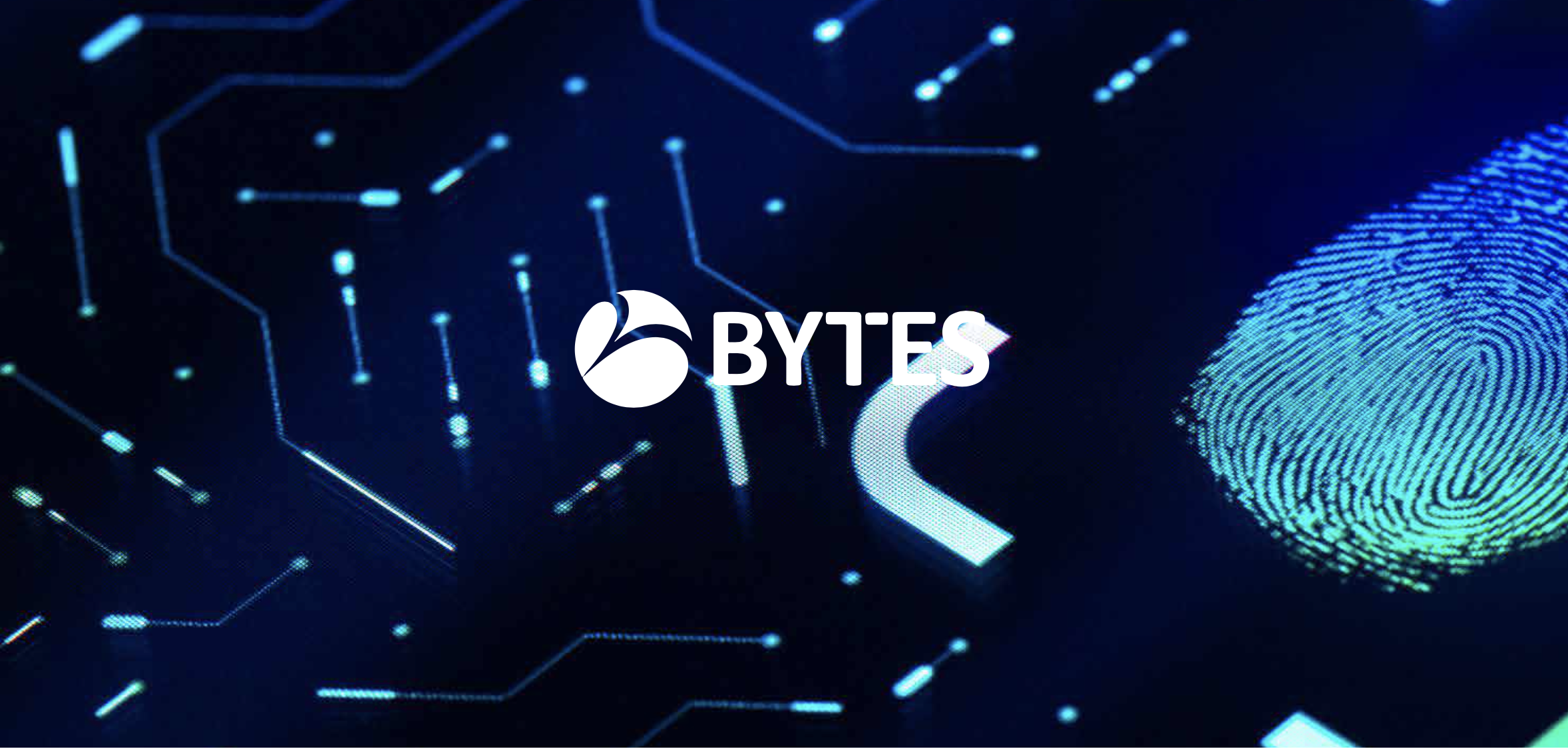 Bytes