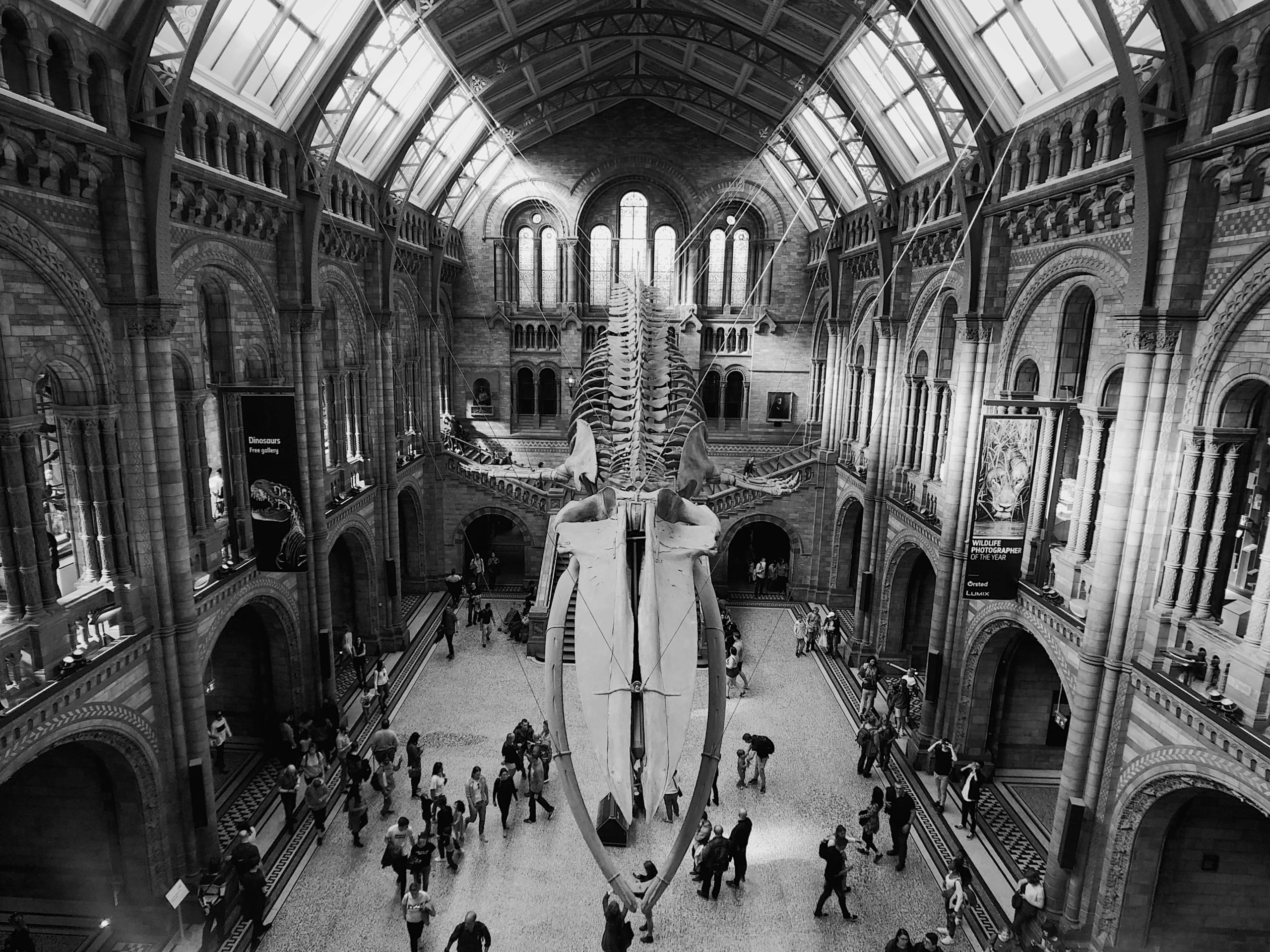 Simpson Associates unlocks hidden data for the Natural History Museum (NHM): helping meet its vision of championing the natural world and our global future 
